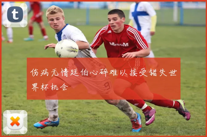 伤病无情廷伯心碎难以接受错失世界杯机会